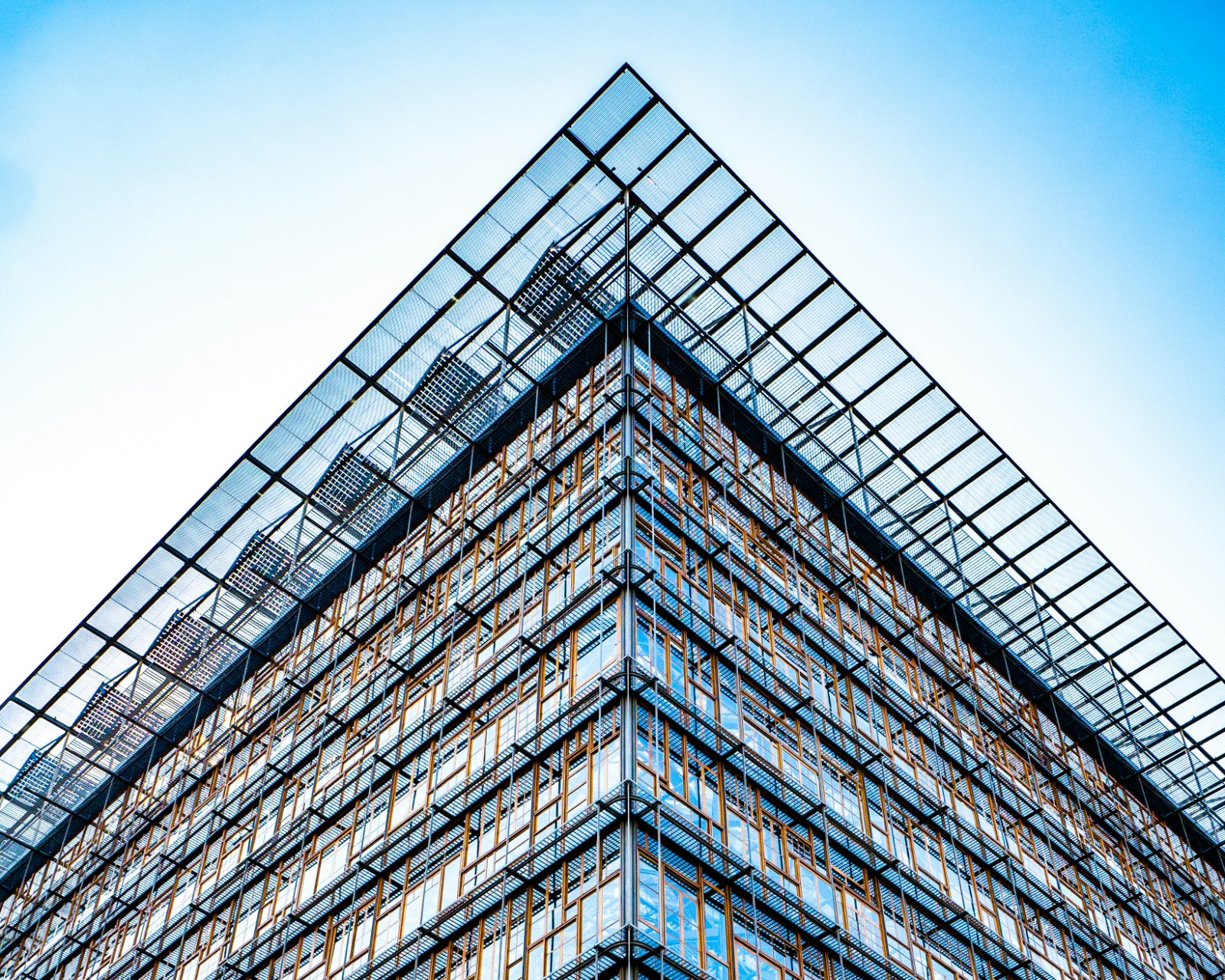 Scaffolding Services